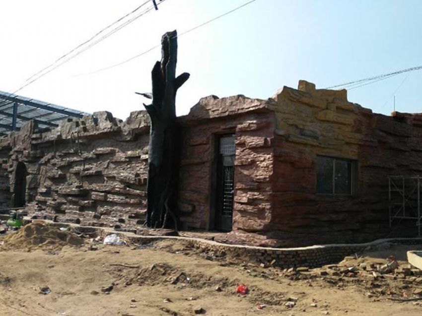 點擊查看詳細信息<br>標題：假房子 閱讀次數：1325