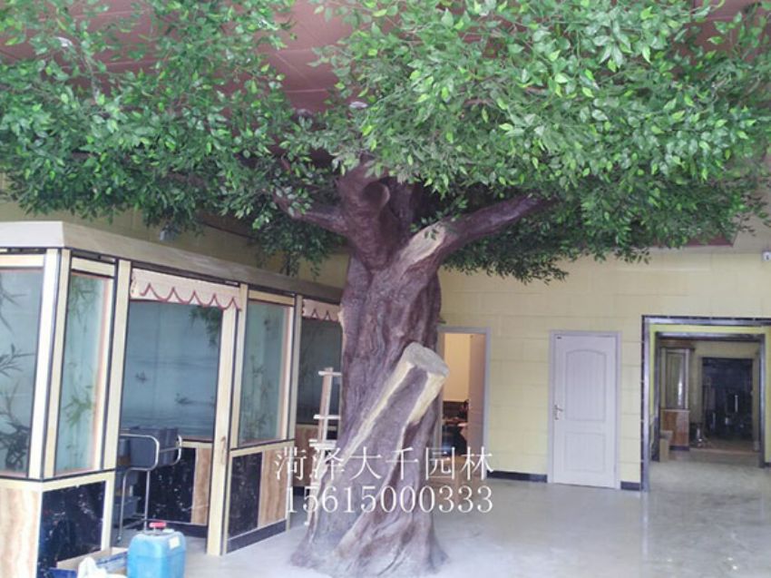 點(diǎn)擊查看詳細(xì)信息<br>標(biāo)題：假樹(shù)外施工后 閱讀次數(shù)：1426