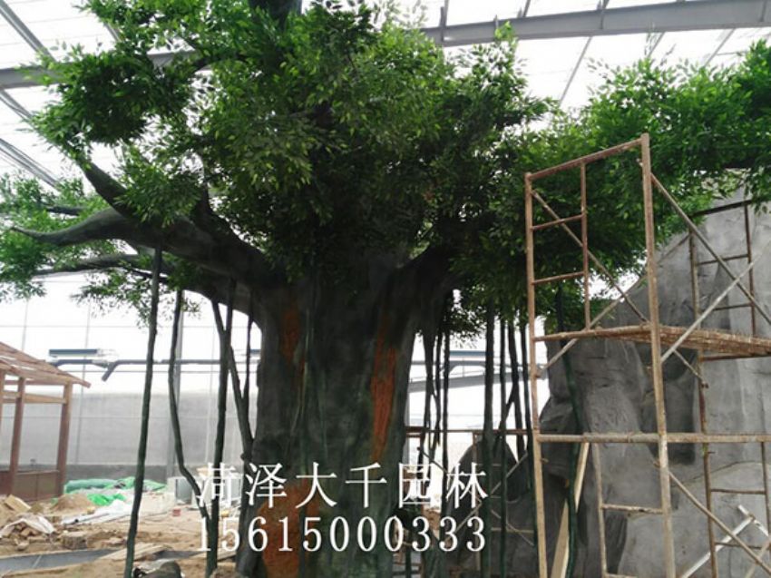 點擊查看詳細信息<br>標題：假樹 閱讀次數：1463