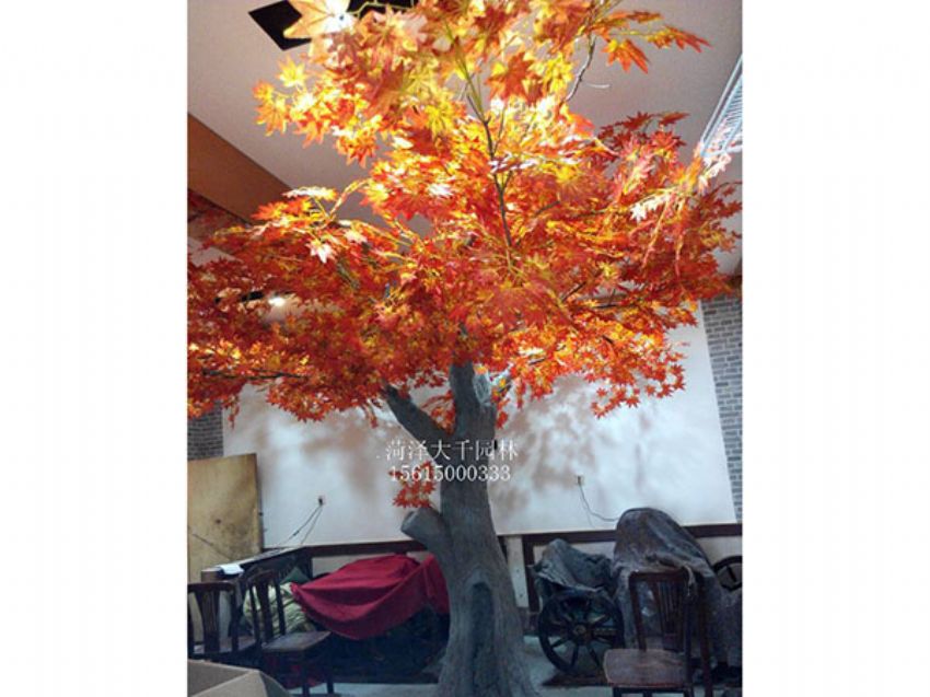 點擊查看詳細信息<br>標題：假樹 閱讀次數(shù)：1541