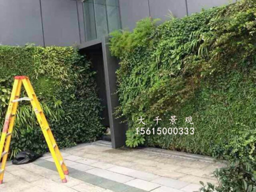 點擊查看詳細(xì)信息<br>標(biāo)題：綠植墻 閱讀次數(shù)：1549