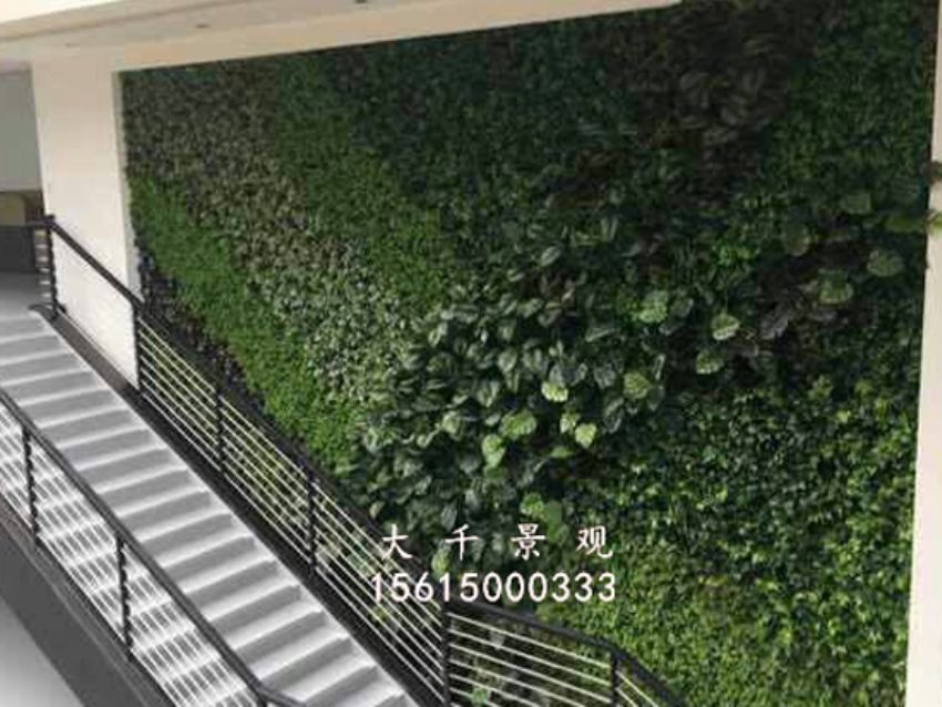 點擊查看詳細(xì)信息<br>標(biāo)題：綠植墻 閱讀次數(shù)：1702