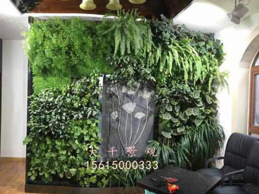 點擊查看詳細(xì)信息<br>標(biāo)題：綠植墻 閱讀次數(shù)：1776