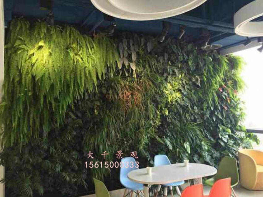 點擊查看詳細(xì)信息<br>標(biāo)題：綠植墻 閱讀次數(shù)：1985