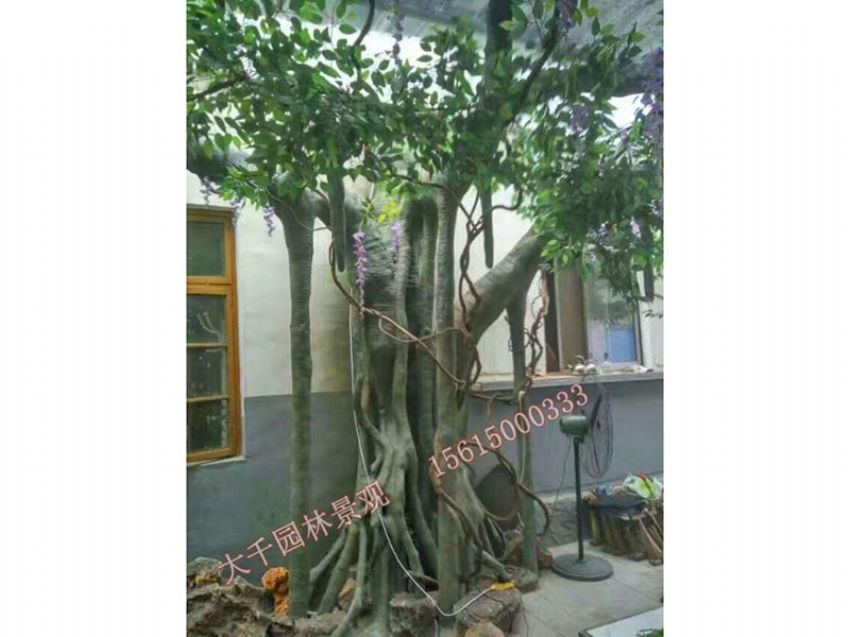 點(diǎn)擊查看詳細(xì)信息<br>標(biāo)題：假樹 閱讀次數(shù)：2564