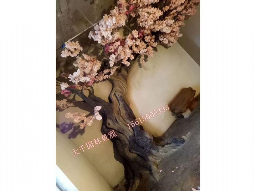 點(diǎn)擊查看詳細(xì)信息<br>標(biāo)題：假樹 閱讀次數(shù)：2536